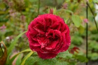 gardeners-friends-2-1024x683
