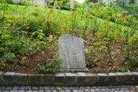 ravensbruckrose