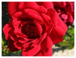 grand-amour