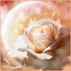 peintreetrosescolorsofmoon