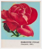 baronne-finaz