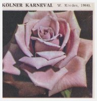 kolner-karneval