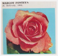 margot-fonteyn
