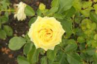 bad-hersfeld42