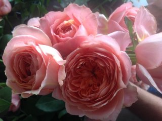 romantic-antike