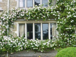 laevigata-clasic-garden-element