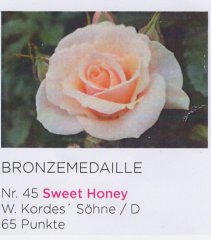 sweet-honey-baden-medale