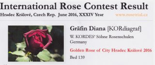 grafin-diana-hradec-kralove-16