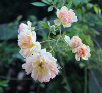 img_0045