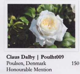 claus-dalby-hradec-kralove-16