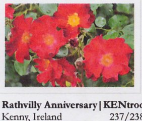 rathvilly-anniversary-hradec-kralove-16
