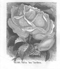 perle-des-jardins