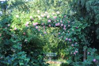 paul-transon-i-ernt-dorel