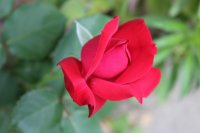 ruby-ruby2_0