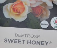 sweet-honey