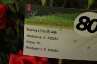 ela-k-kozak