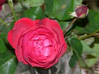 gruss-an-heidelberg-2.jpg