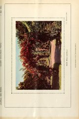 rubin-journaldesroses3637pari_0387.jpg