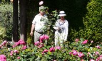 baronne-edmond-de-rotstchild-b