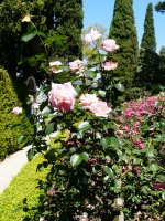 princesse-de-monaco-jpg-a