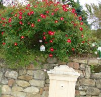 rouge-meillandecor3a