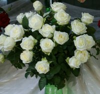 marousia
