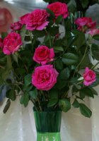 princess alexandra