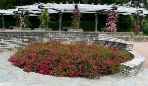 nature-meillandecor2a