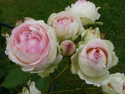 pierre-de-ronsard2a