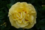 licht-lucia-gubala-3.jpg