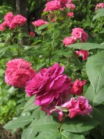 domain-st-jean-beauregar-purple-lodge