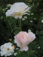 marie-luise-marjan-2