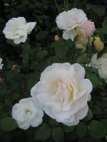 marie-luise-marjan