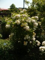 ghislaine-de-feligonde-3