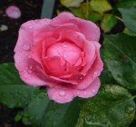 tom-tom-ogrod-botaniczny-warszawa.jpg