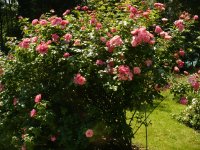 mein-schoner-garden-2