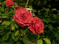 radar-galicja-2011-596a