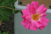 bad-worischfen-1357