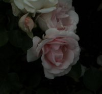 ballade-154