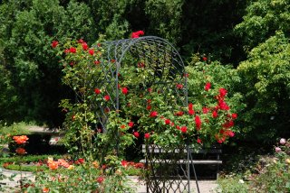 ogrod-botaniczny-warszawa-heidelberg-wroobel.jpg