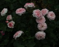mariatheresia-1351