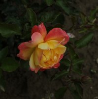 goldenes-prag-422