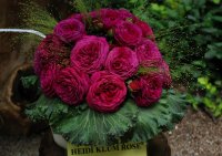 heidi-klum-rose