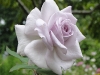 ametyst3