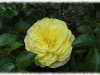 dsc00650