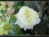 dsc02199