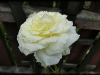 dsc02485
