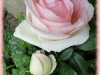 eden-rose2
