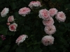 mariatheresia-1351
