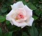elizabeth-casson